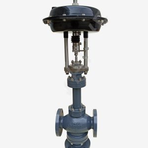 Single seated control valve