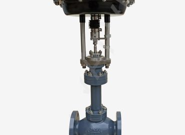 Single seated control valve