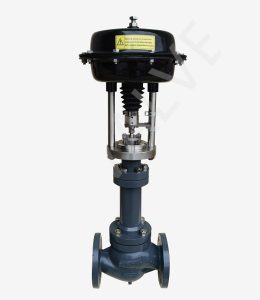 Single seated control valve