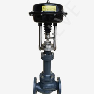Single seated control valve