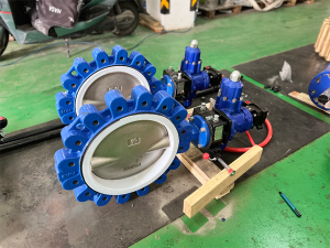 China butterfly valve