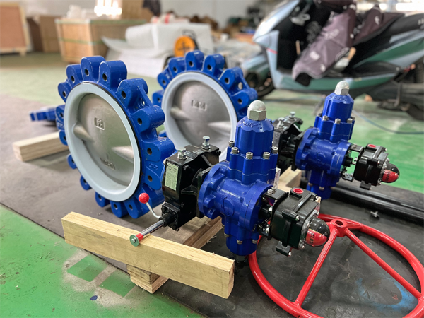 lug butterfly valve