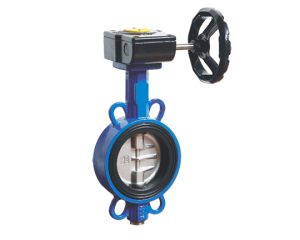 butterfly valve