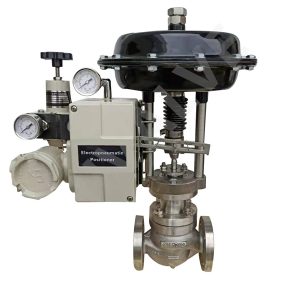 Single seated control valve