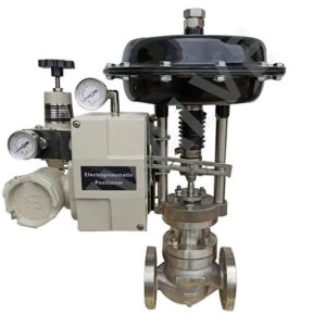 Single seated control valve