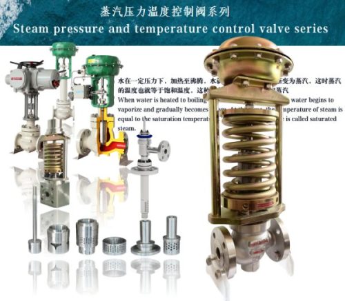 Steam Control Valves