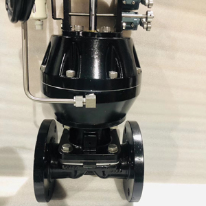 lined diaphragm valve