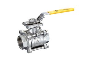 Socket Weld and Butt Weld Valves