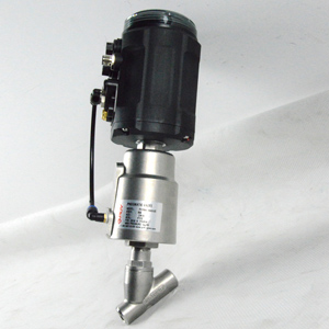 Socket Weld and Butt Weld Valves