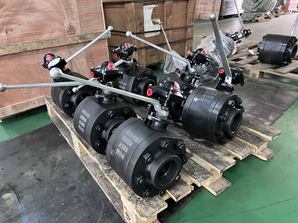 1000WOG VALVE