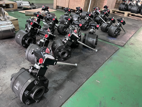 1000WOG VALVE