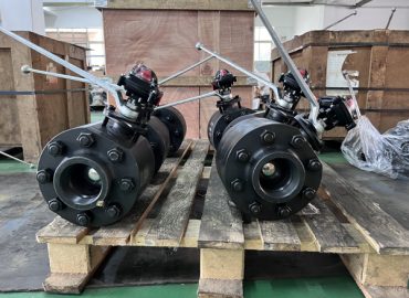 1000WOG VALVE