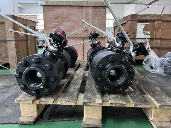 1000WOG VALVE