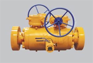 DBB ball valves