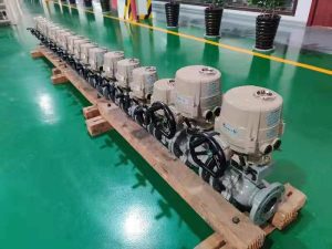 ball valve and gate valve
