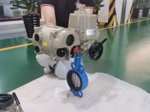 Motorised Valve