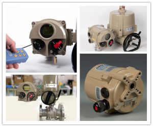 ball valve and gate valve
