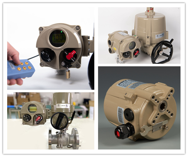 ball valve and gate valve
