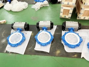 What is PTFE lined butterfly valve?