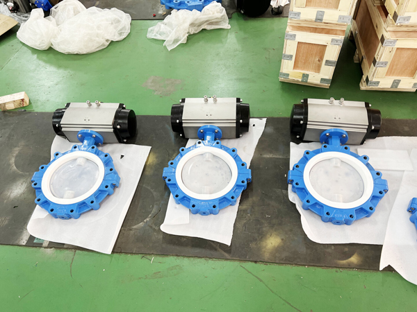 Teflon Lined Valves