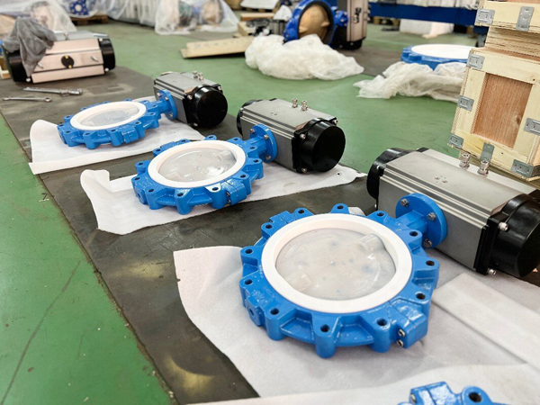 Viton (FKM) butterfly valve?