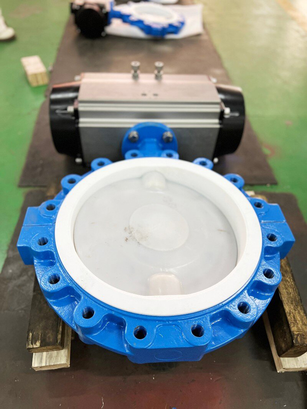 Butterfly Valve