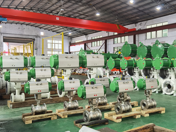 Eccentric Rotary Control Valve