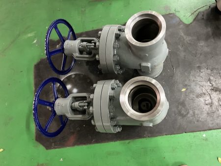 Forged Check Valves