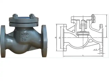 Lift Check Valves