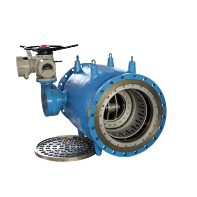 Plunger Valve