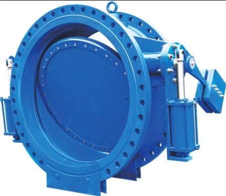 Dual Plate Check Valves