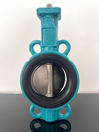 Gate Valve vs Butterfly Valve