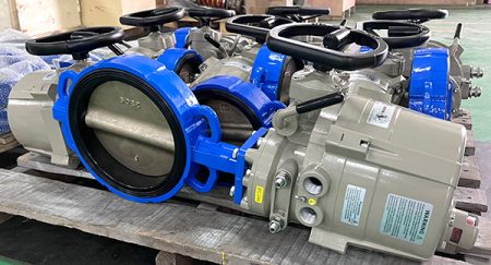 Gate Valve vs Butterfly Valve