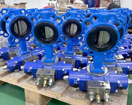 Gate Valve vs Butterfly Valve