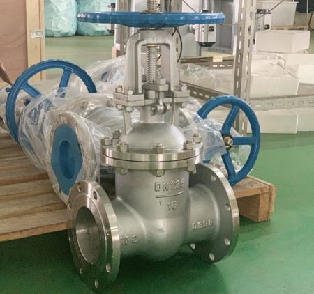 Check Valve