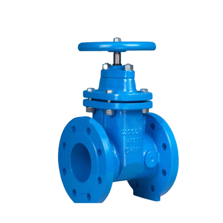 Globe Valve vs Gate Valve