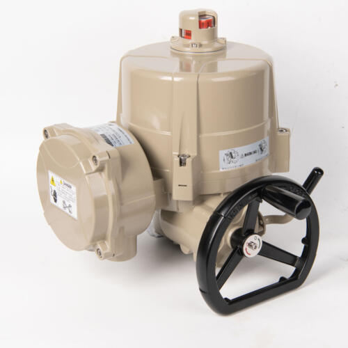 POQ electric actuator